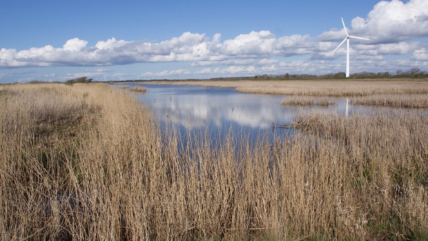 Treparten for Nissum Fjord arbejder på fælles løsninger for vandmiljø, klima og natur i oplandet til fjorden – og dermed også Felsted Kog.