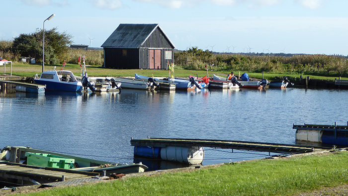 Billedet viser bådplads langs Nissum Fjord