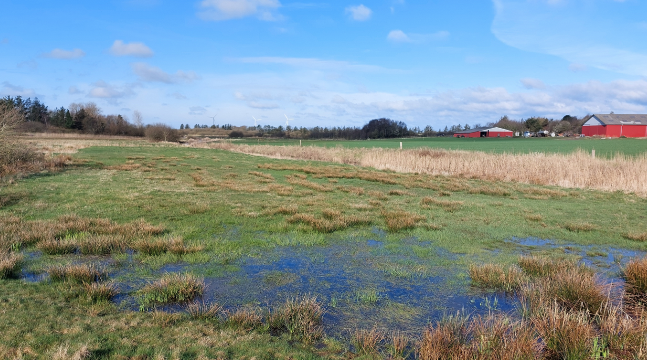 Området ved Damhus Å