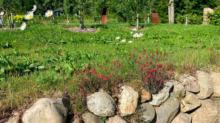 Stendiget er levested for mange insekter og smådyr