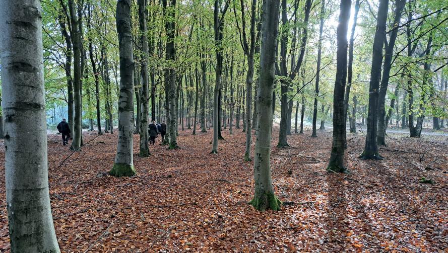 3 klip til naturen