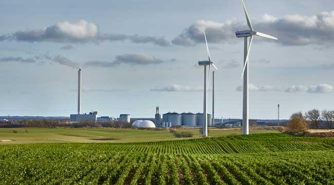 Mark med vindmøller
