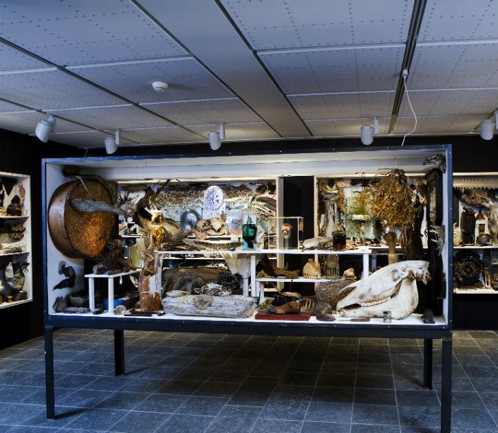 Billede af John Olsen-undrekammer