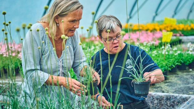 Frivilligt Socialt Arbejde