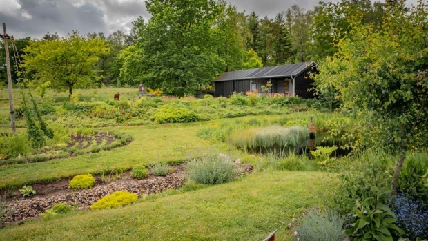 Foto: Forløbet foregår i den smukke natur i Tvis Mølle Naturlaboratorium ved Holstebro.