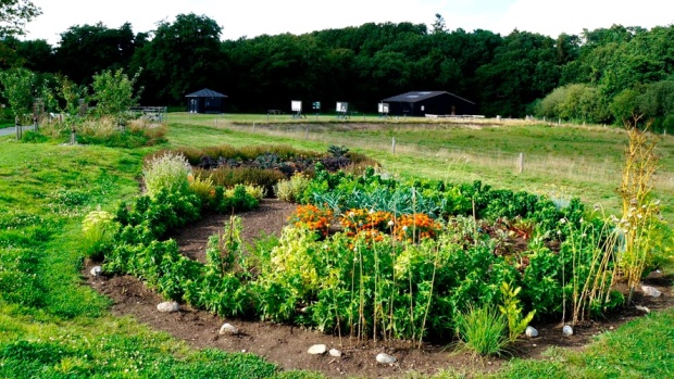 Det er her i Tvis Mølle Naturlaboratorium, forløbet holdes.