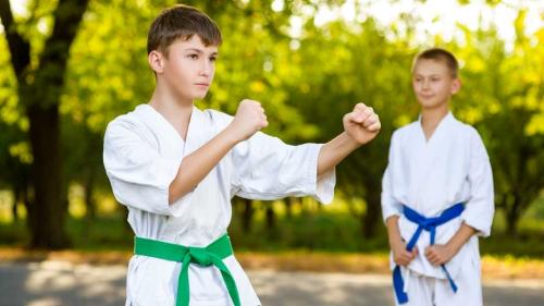 To drenge til taekwondo